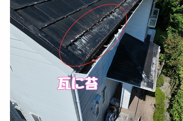 可児市皐ヶ丘　瓦に苔