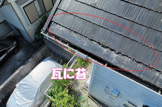 可児市皐ヶ丘　瓦に苔