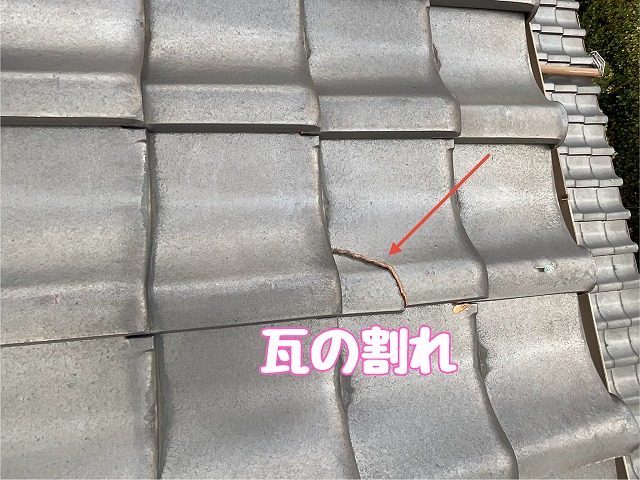 瓦の割れを確認