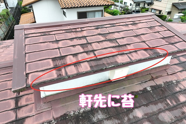 可児市桜ケ丘　軒先に苔