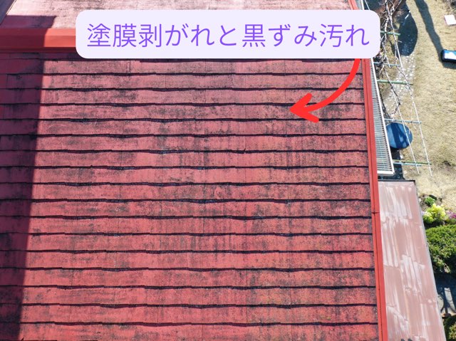 塗膜剥がれと黒ずみ汚れが目立つ屋根面のクローズアップ。