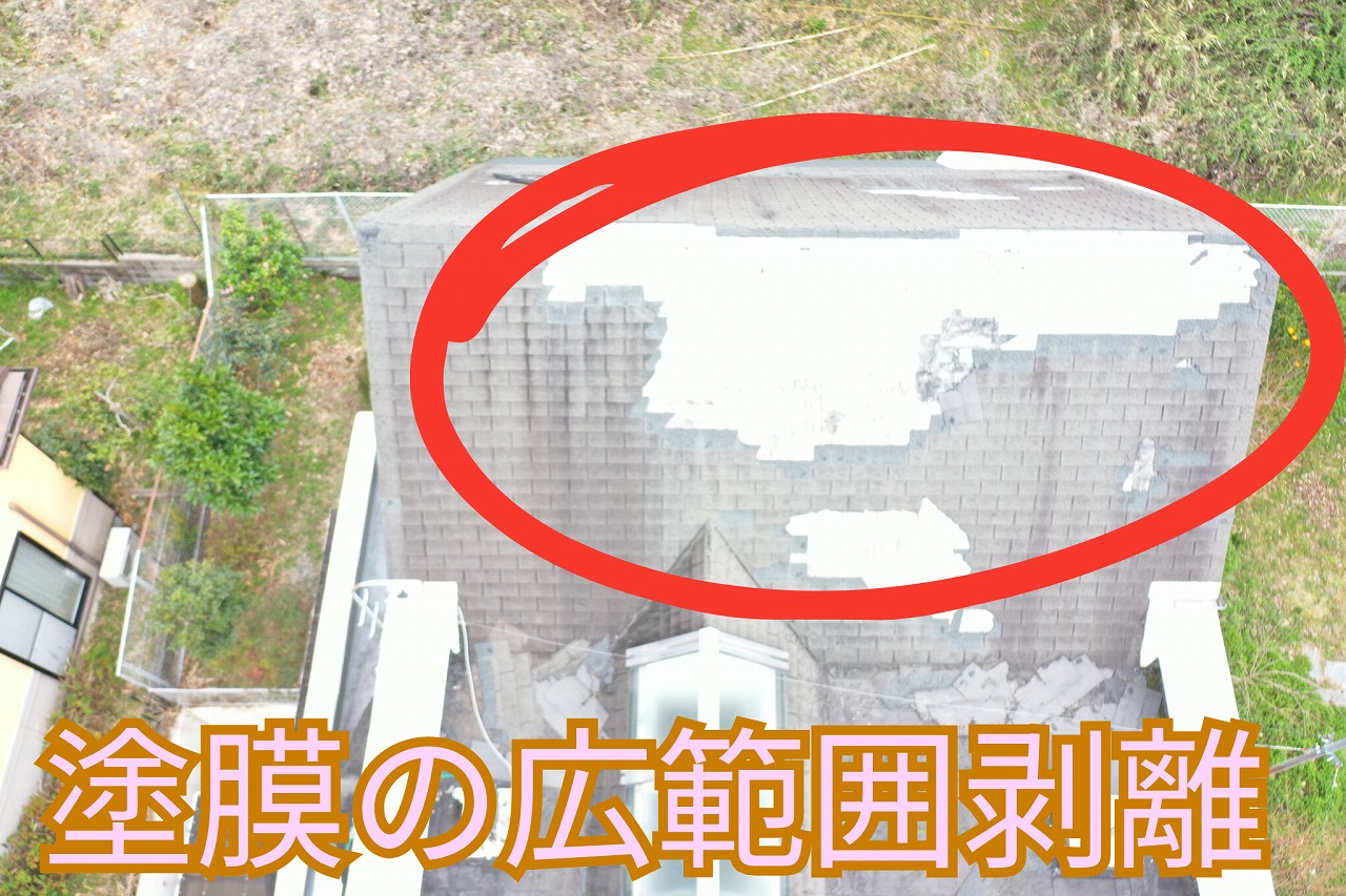屋根全面で塗装膜が大きく剥がれ落ちた様子