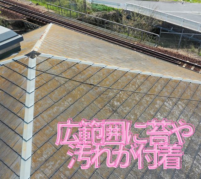 屋根表面に苔や汚れが広範囲に付着している状態。