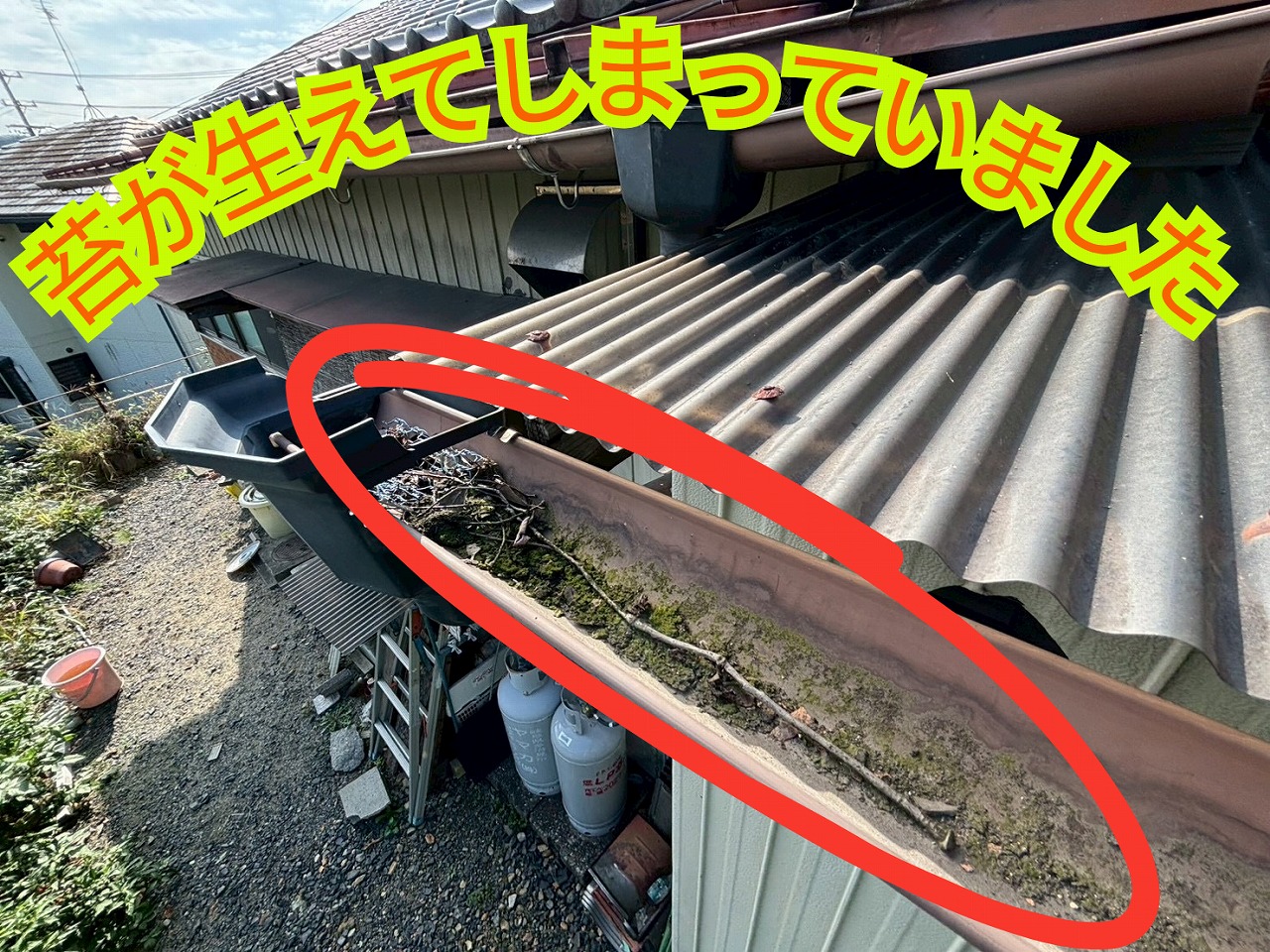 多治見市生田町の住宅の雨樋内部に、苔が生えて緑色になっている状態