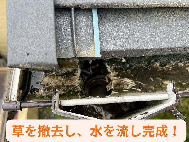 多治見市市之倉町　軒樋　集水器の草を撤去し水を流します
