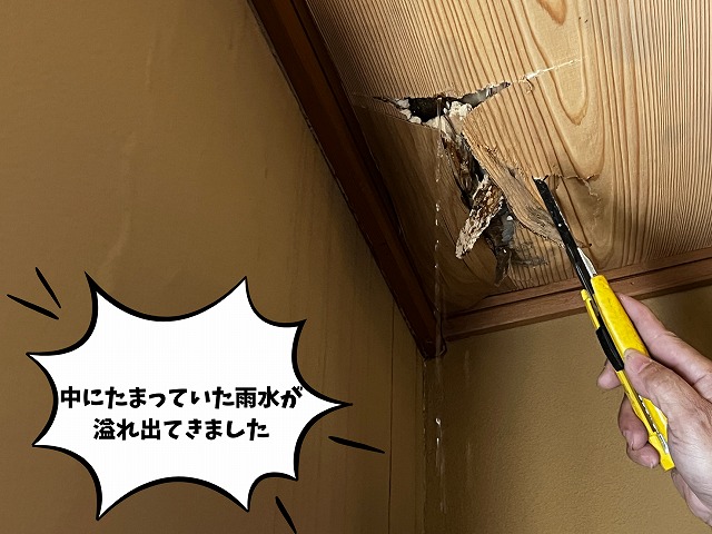可児市　飲食店　天井から雨漏り　ライブを確認するため天井を切り取ります。天井を切り取ると大量の雨水が溢れ出てきました