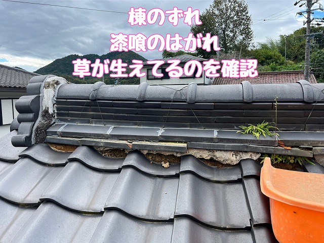 瑞浪市稲津町　棟に草