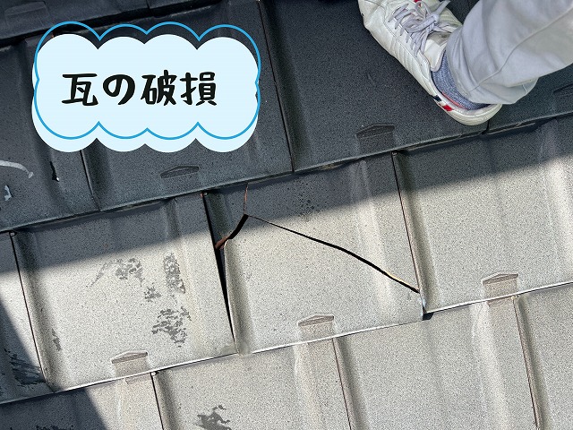 瓦の破損・割れ　洋瓦の破損・割れ