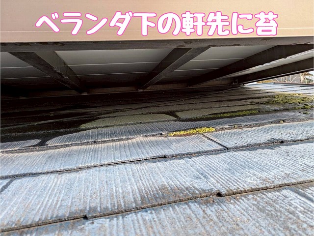 下屋根表面の苔発生