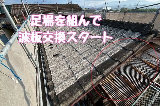 足場を活用して波板交換を開始