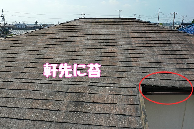 美濃加茂市川合町　軒先に苔
