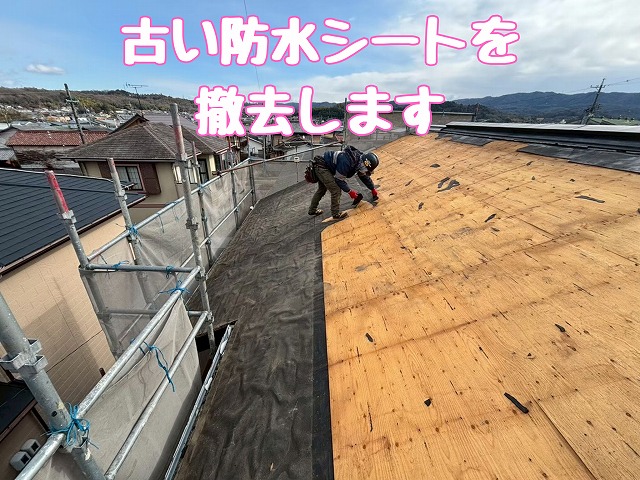 古い防水シート撤去