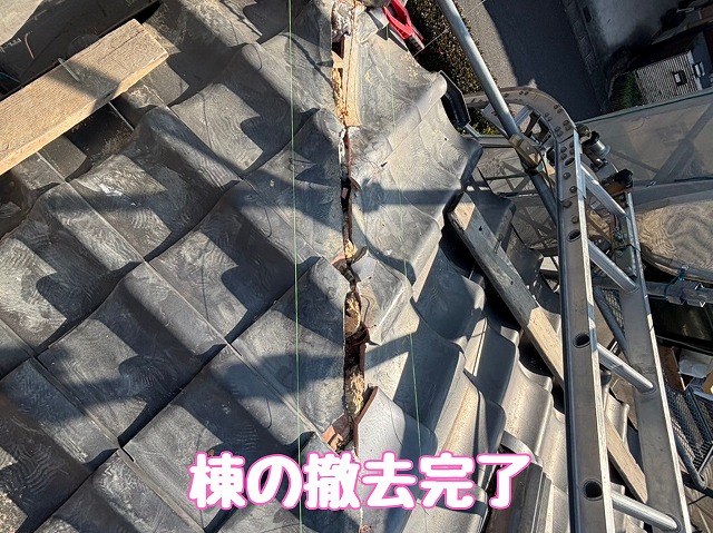 棟撤去後の下地確認