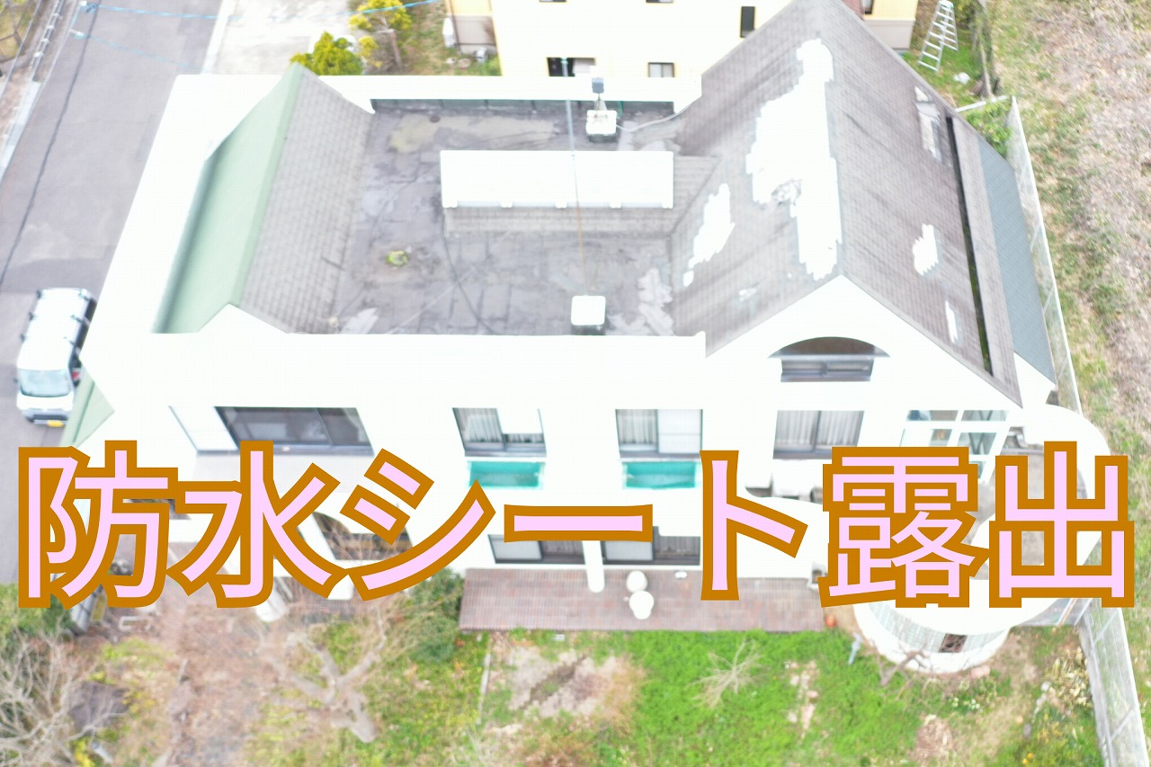 屋上の一部で黒い防水シートが露出している様子