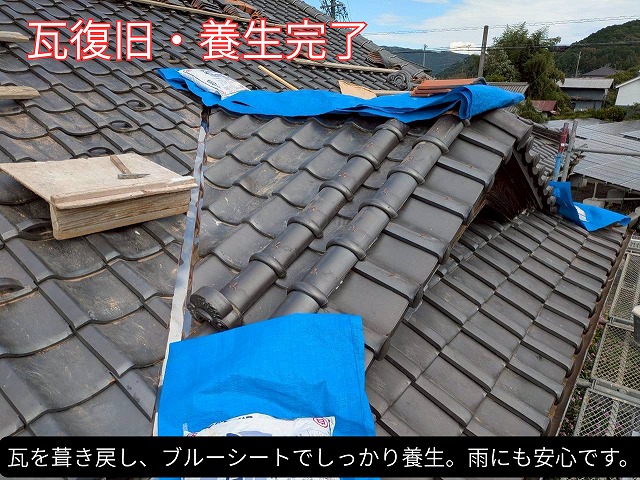 瓦を復旧した後、ブルーシートで雨養生をしている様子。