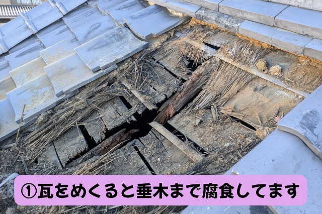 可児市　和瓦　棟下の瓦をめくると主要な垂木も腐食してました