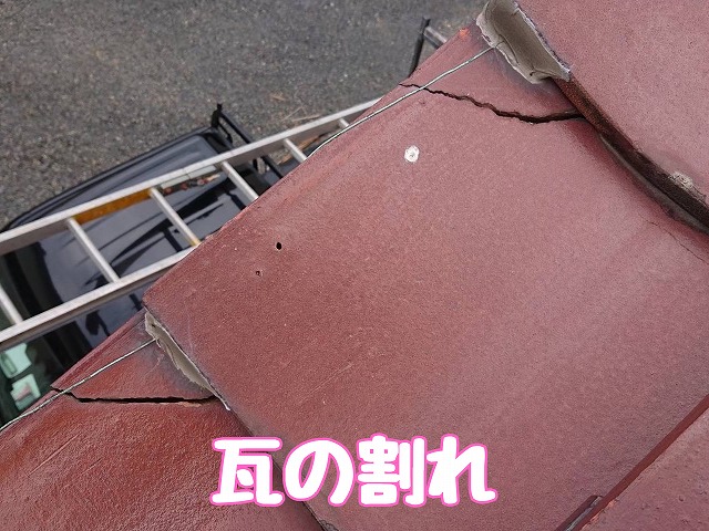 瓦の割れが確認できる