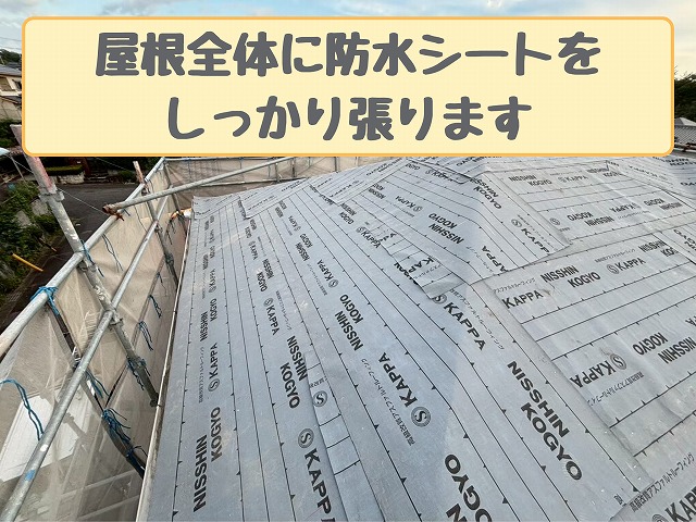 全面に張った防水シート