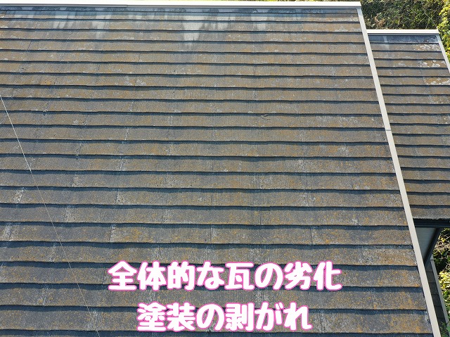 全体的な瓦の劣化