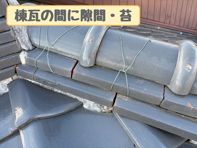 棟瓦の隙間と苔
