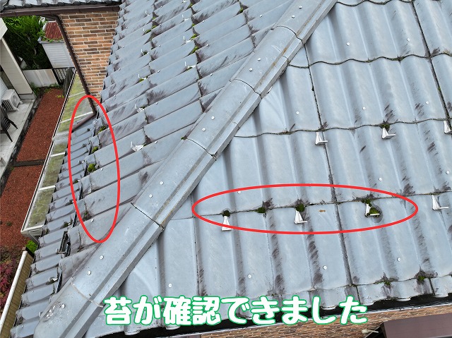 多治見市市之倉町　瓦にこけ