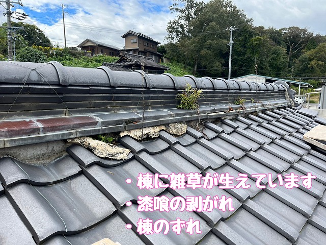 瑞浪市　棟に雑草