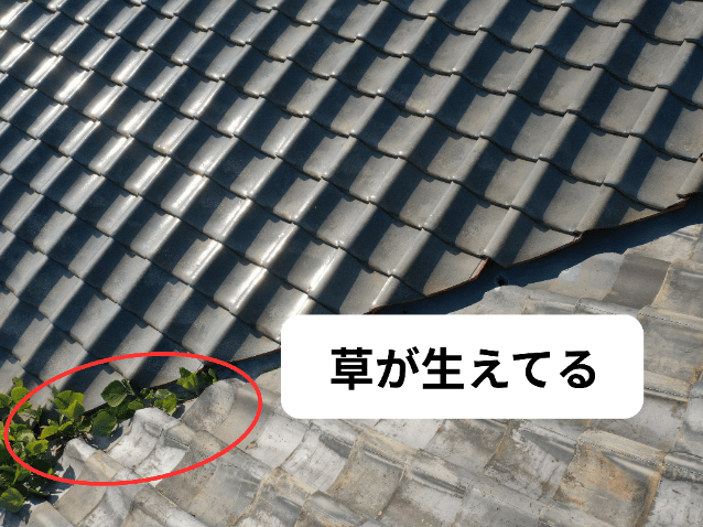 尾張旭北山町　屋根に草