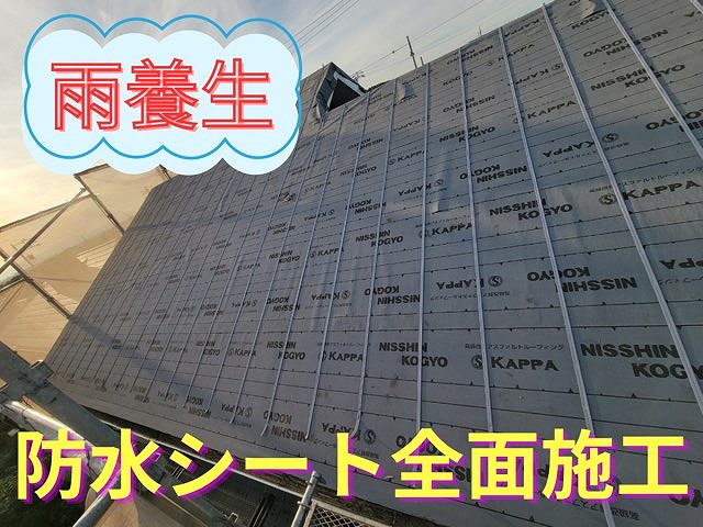 アスファルトルーフィング（防水シート）を屋根全体に施工した状態の写真