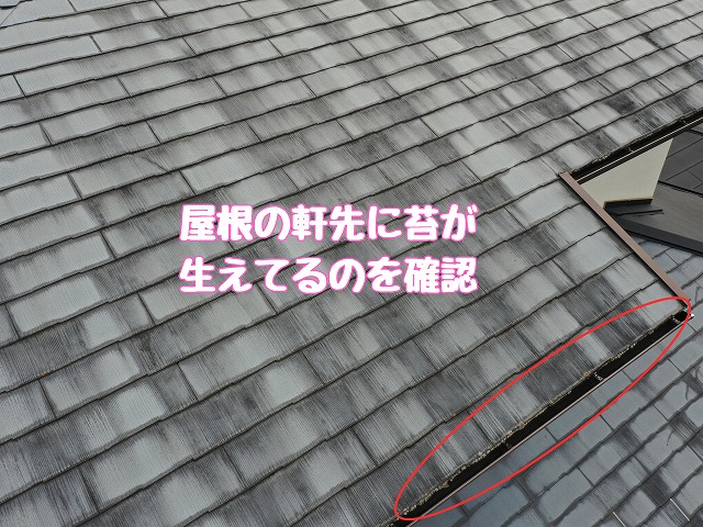 可児市羽生ヶ丘　軒先に苔