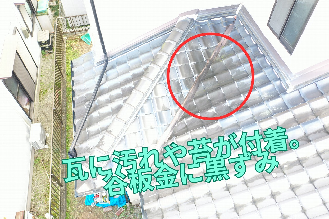 谷板金に苔が広がり黒ずみが発生している様子