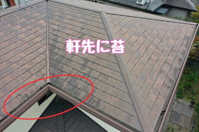 可児市大森台　軒先に苔