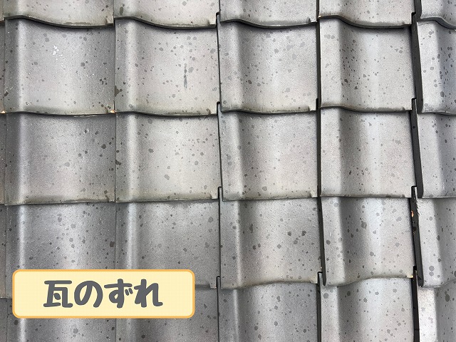 広範囲の瓦のずれ