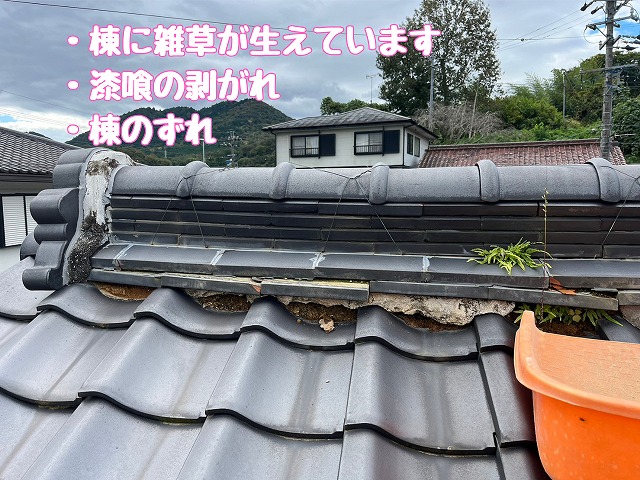 瑞浪市｜棟のゆがみ指摘で現地調査、雑草発生と積み替え工事提案