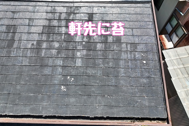 多治見市平井町　軒先に苔