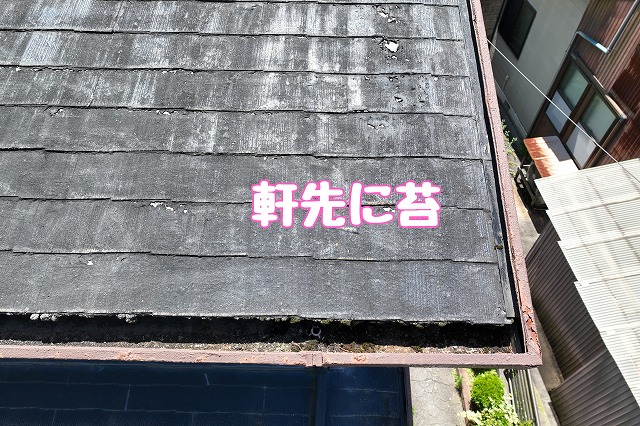 多治見市平井町　軒先に苔