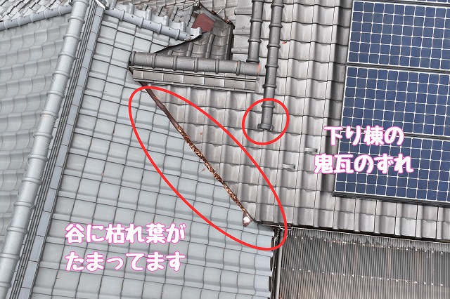 多治見市旭ヶ丘　谷に枯れ葉
