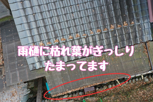 多治見市旭ヶ丘　雨樋に枯れ葉