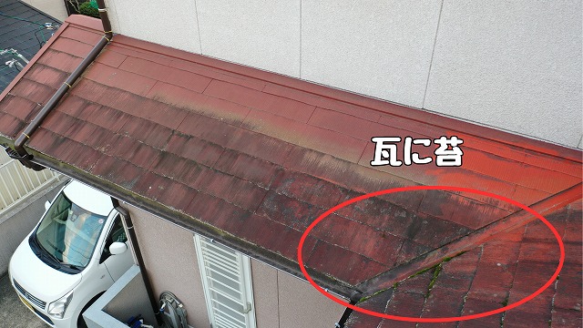 可児市　瓦に苔