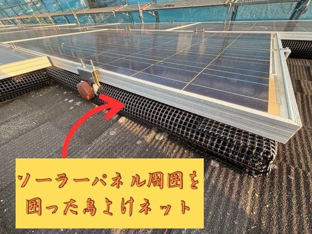 ソーラーパネルの縁に沿って設置された黒い鳥よけネット