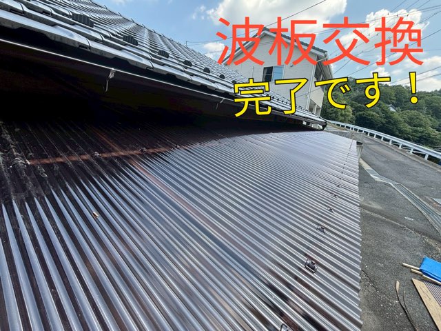 新しいポリカ波板が取り付けられたベランダ屋根。光を通して明るい仕上がり
