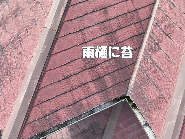 多治見市脇之島町　雨樋に苔