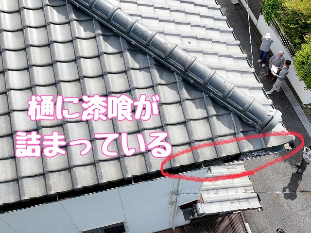 樋に詰まった塗膜