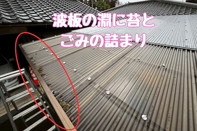 多治見市虎渓山　ポリカにごみ