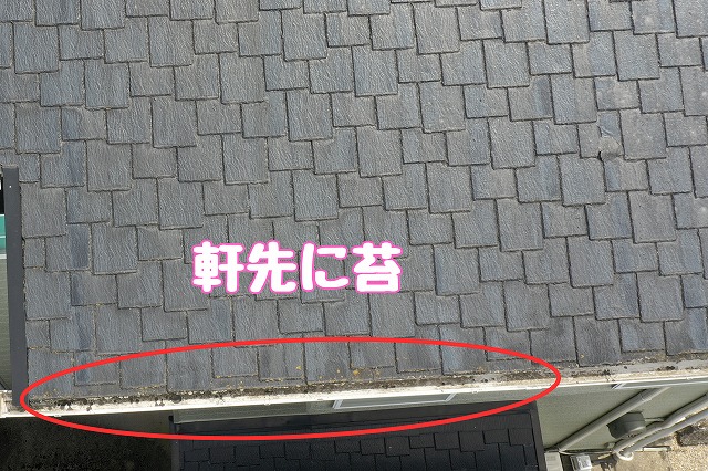 可児市皐ヶ丘　軒先に苔