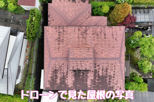 可児市桜ケ丘｜雨漏り調査と苔・ひび発見 カバー工法で安心補修