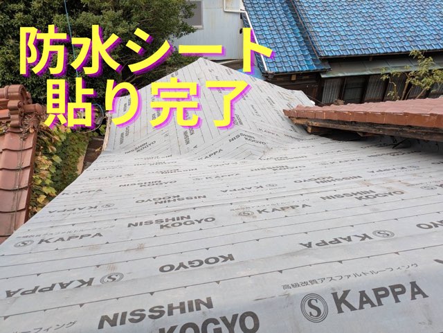 屋根全面に防水シートを敷き詰めた状態。