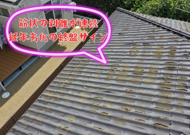 軒先に向かう屋根面の劣化。筋状剝がれが全体に広がっている。