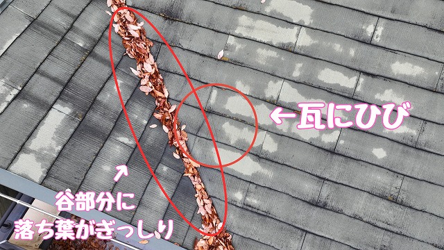 多治見市幸町　谷部に枯れ葉