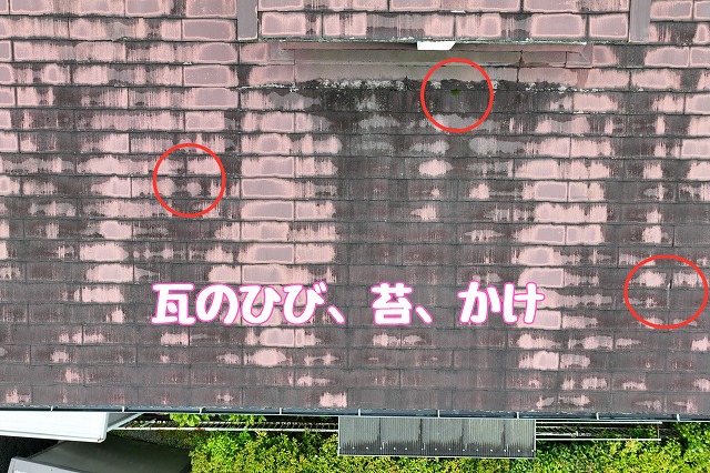 可児市桜ケ丘 　瓦に苔