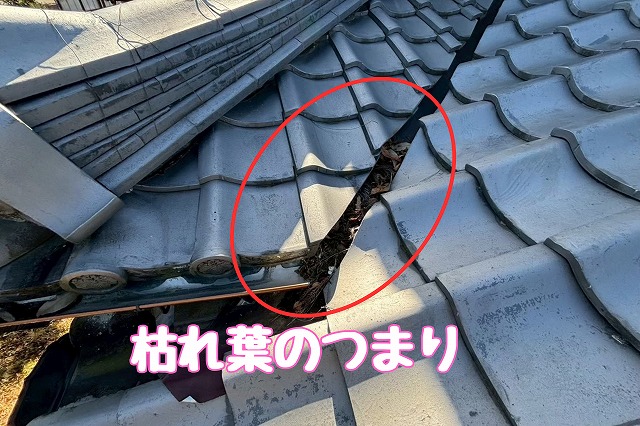 多治見市虎渓山　谷に枯れ葉のつまり